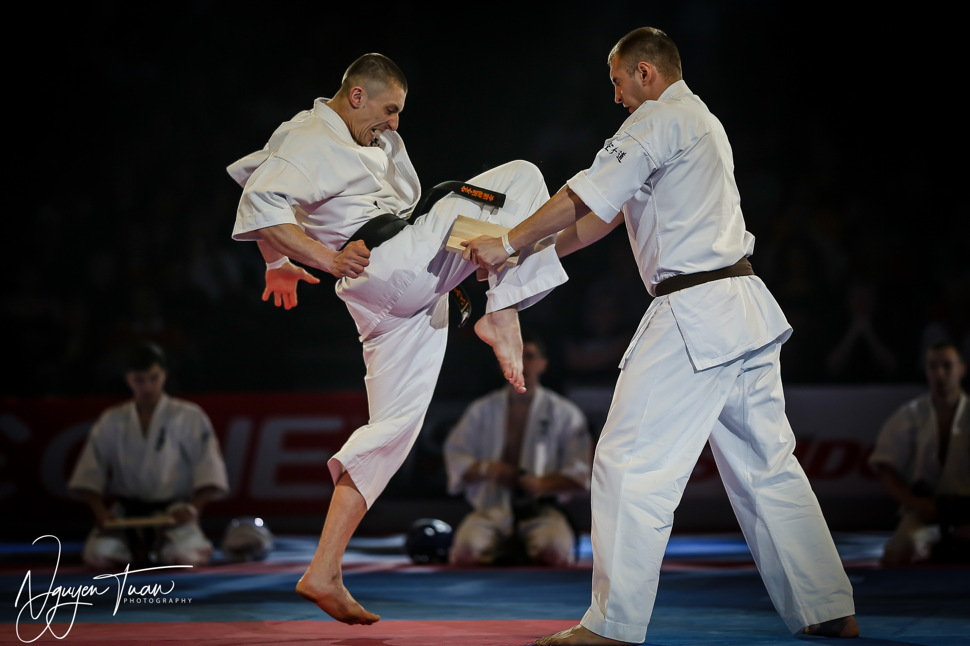 20190324 Festival des Arts Martiaux 3296